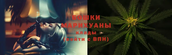 стафф Медногорск