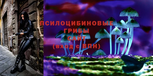 стафф Медногорск