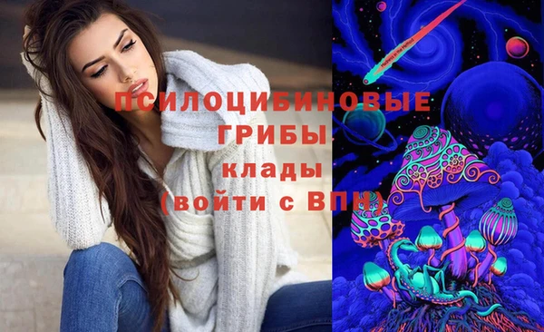 mdpv Медвежьегорск